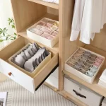 Premium Undergarment Organizer set